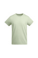 Mist Green