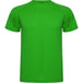 Fern Green